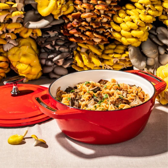Freshly prepared dish in dutch oven.
